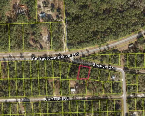 107 S Georgetown Point Rd, Georgetown, FL 32139 photo 11