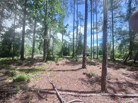 107 S Georgetown Point Rd, Georgetown, FL 32139 photo 3