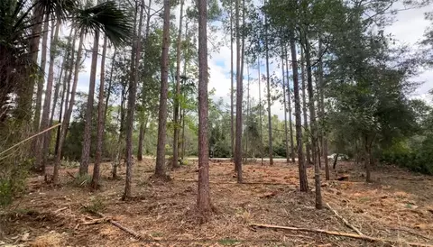 107 S Georgetown Point Rd, Georgetown, FL 32139 photo 5