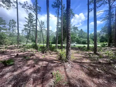 107 S Georgetown Point Rd, Georgetown, FL 32139 photo 4