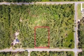 Saffron Avenue, Eustis, FL 32736 photo 4