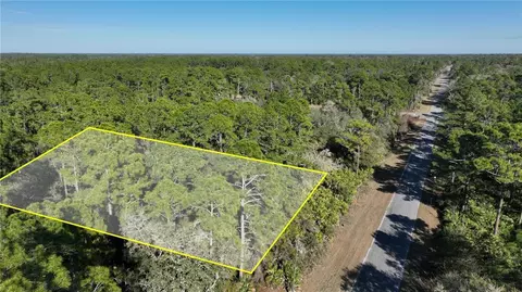 Saffron Avenue, Eustis, FL 32736