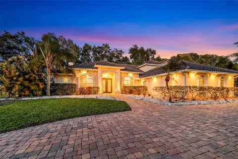 16623 Royal Palm Dr, Groveland, FL 34736