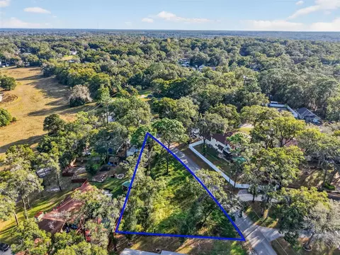 Apawamis Drive, Sorrento, FL 32776