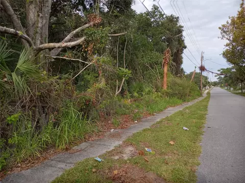 Carver Street, Mims, FL 32754