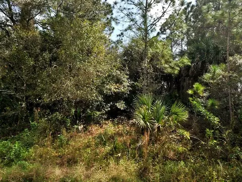 Hamilton Avenue, North Port, FL 34286