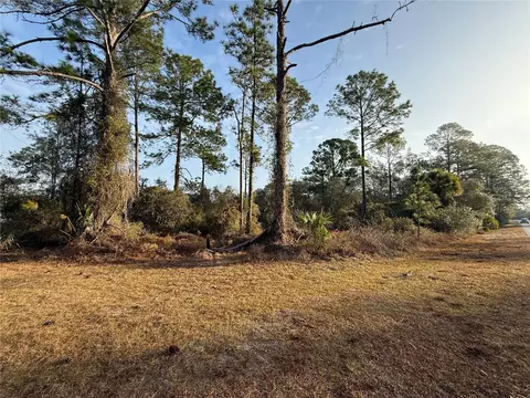 W Thyme Avenue, Eustis, FL 32736