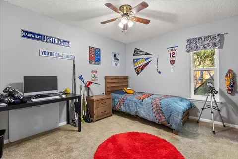 Bedroom - 333 Forest Rd, Mount Dora, FL 32757 photo 3 of 3