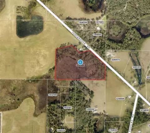 Tuscanooga Road, Mascotte, FL 34753