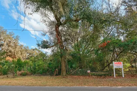 11119 Bessie Dix Rd, Seffner, FL 33584 photo 3