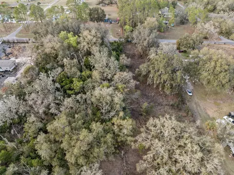11119 Bessie Dix Rd, Seffner, FL 33584 photo 9