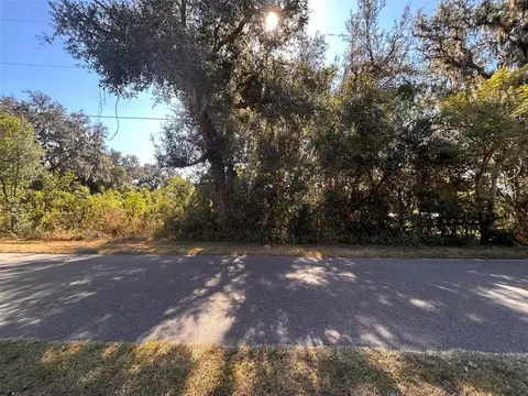 11119 Bessie Dix Rd, Seffner, FL 33584 photo 12
