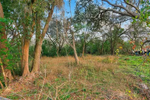 11119 Bessie Dix Rd, Seffner, FL 33584 photo 7