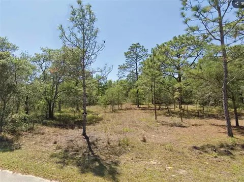 0 SW 204th St, Dunnellon, FL 34431