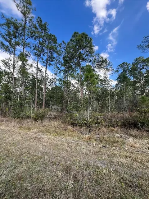 6727 Balboa Blvd, Sebring, FL 33872 photo 4