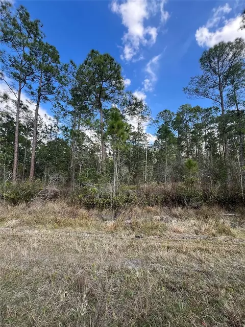 6727 Balboa Blvd, Sebring, FL 33872 photo 3