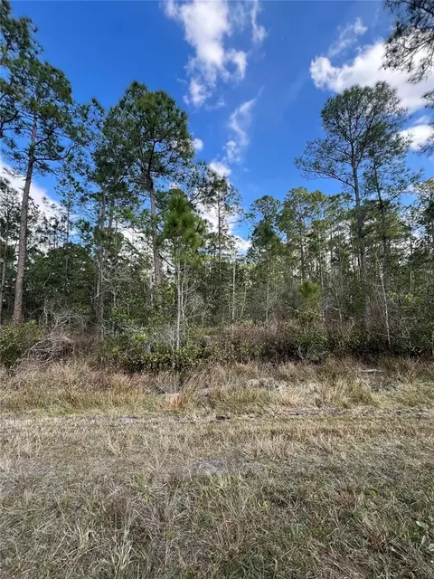 6727 Balboa Blvd, Sebring, FL 33872 photo 6