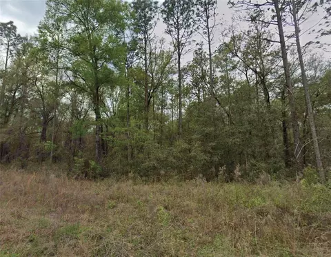 159 Th Avenue Rd, Ocala, FL 34481