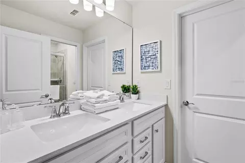 Bath - 16000 Sandy Cliffs Dr, Clermont, FL 34714 photo 2 of 7