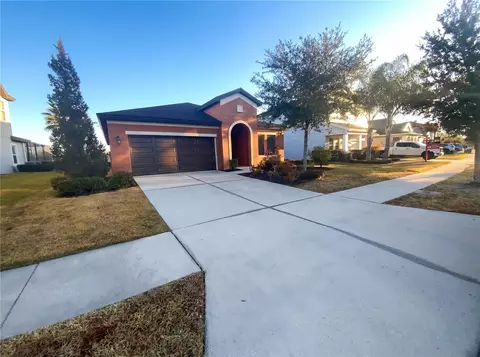 32395 Natural Bridge Rd, Wesley Chapel, FL 33543