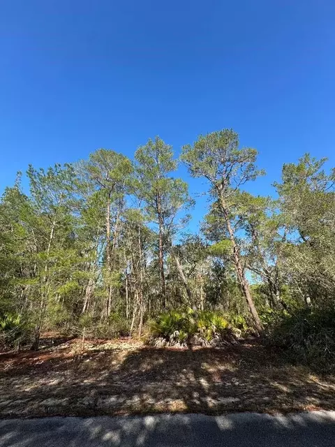 Undisclosed, Ocklawaha, FL 32179
