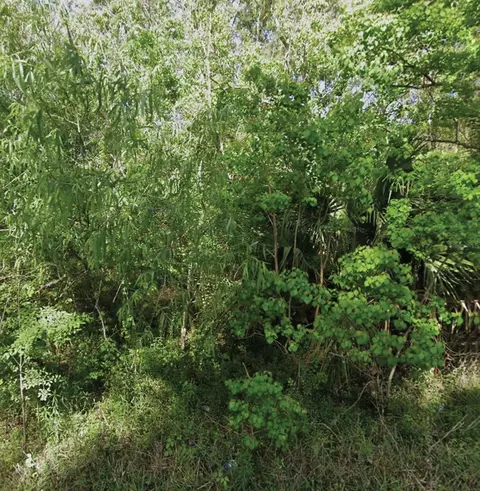 NE 132nd Avenue, Silver Springs, FL 34488