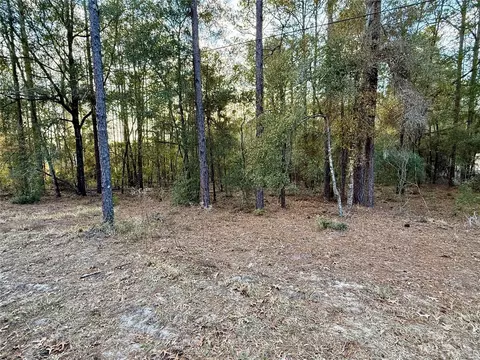 Sw 205th Circle, Dunnellon, FL 34431