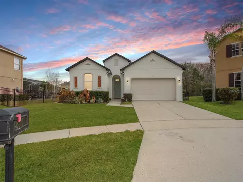 13313 Halkyn Pt, Orlando, FL 32832