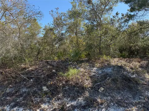 Mcbride Avenue, Deltona, FL 32725