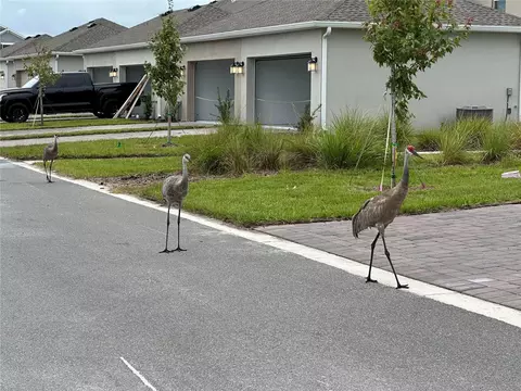 Other - 3037 Ella Way, Saint Cloud, FL 34771 photo 2 of 6