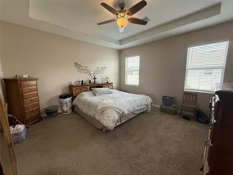 Other - 16418 Woodside Gln, Parrish, FL 34219 photo 7 of 7
