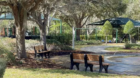 View/Area - 6911 Beargrass Rd, Harmony, FL 34773 photo 7 of 15