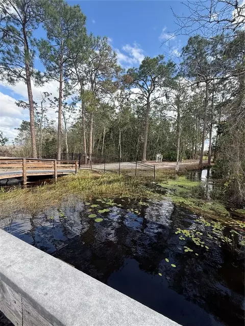 View/Area - 6911 Beargrass Rd, Harmony, FL 34773 photo 8 of 15