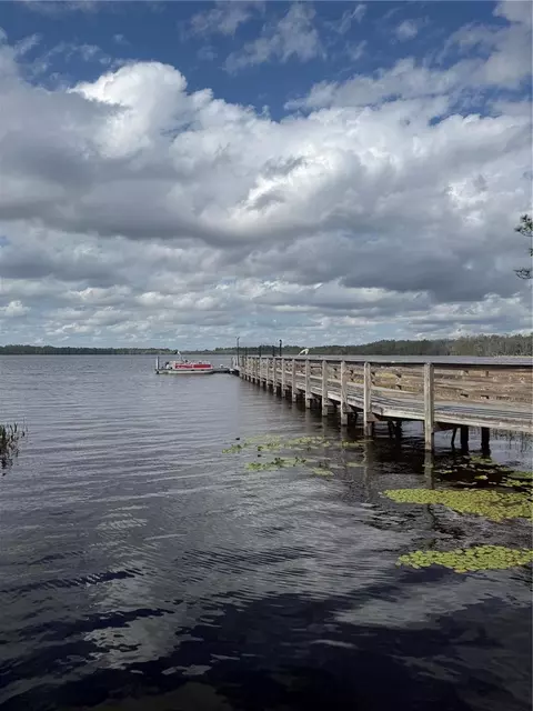 View/Area - 6911 Beargrass Rd, Harmony, FL 34773 photo 9 of 15