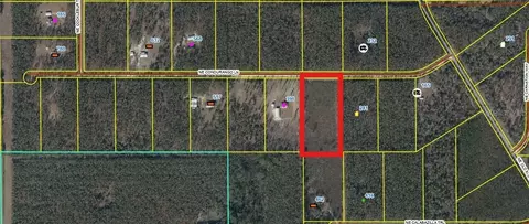 462 NE Calabazilla Trl, Lee, FL 32059