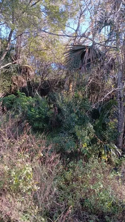 Avenue O, Ormond Beach, FL 32174 photo 4