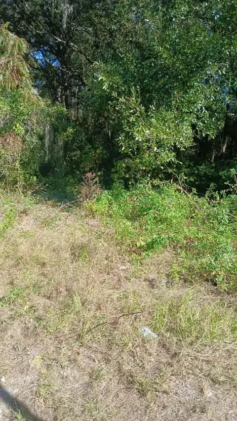 Avenue O, Ormond Beach, FL 32174 photo 3