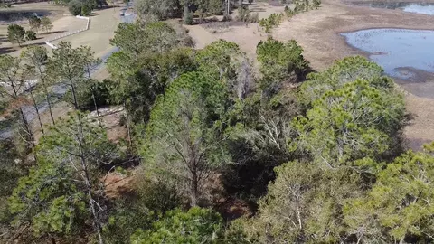 Bonsmara Drive, Leesburg, FL 34748