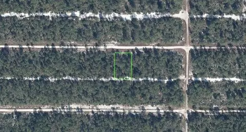 613 Parakeet Ave, Sebring, FL 33872