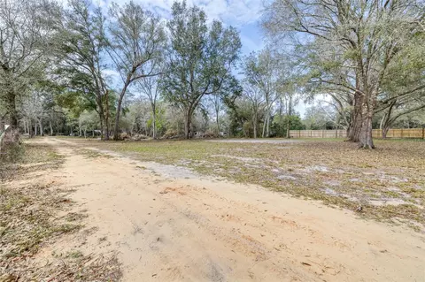 SE 124th Avenue, Webster, FL 33597 photo 4