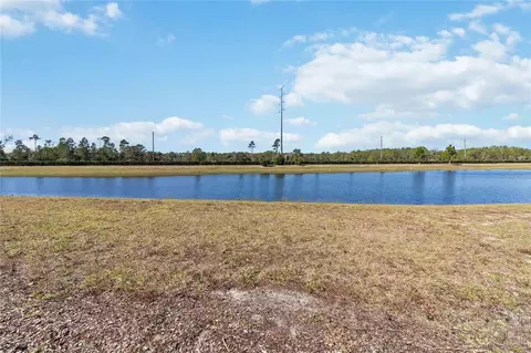 View/Area - 3100 Crispin Cir, Harmony, FL 34773 photo 4 of 8