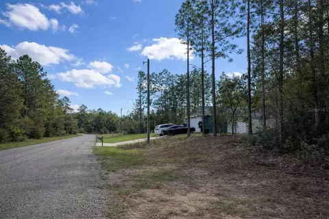 602 E Nemo Dr, Dunnellon, FL 34434 photo 3