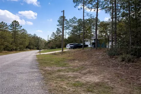 602 E Nemo Dr, Dunnellon, FL 34434 photo 2