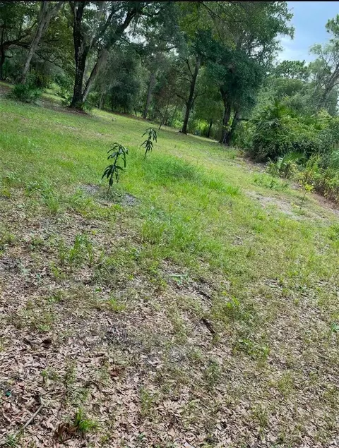 1301 Arapaho Trl, Geneva, FL 32732