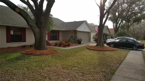 15005 Redcliff Dr, Tampa, FL 33625