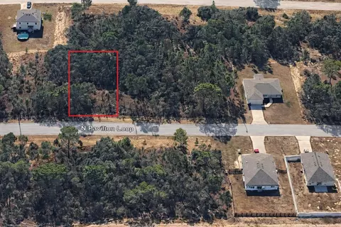 6779 N Pavilion Loop, Citrus Springs, FL 34433
