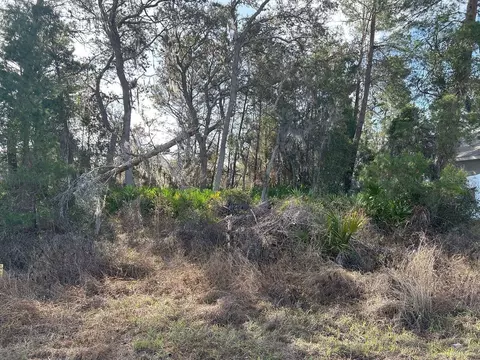240 Elm Ct, Poinciana, FL 34759