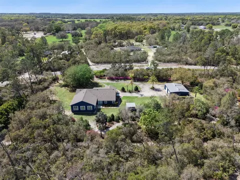View/Area - 37008 Forestdel Dr, Eustis, FL 32736 photo 3 of 11