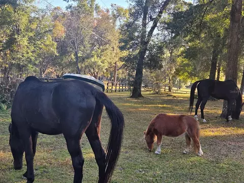 Other - 19 Northern Dancer Dr, Ocala, FL 34482 photo 15 of 17