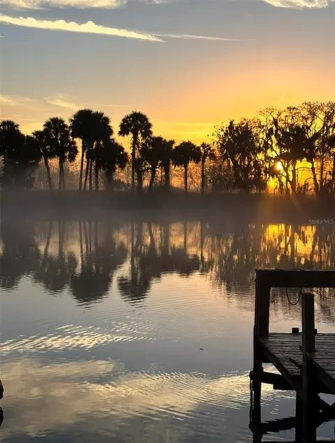 1129 Lemon Bluff Rd, Osteen, FL 32764